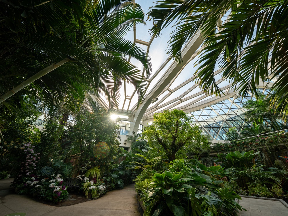 Visitors to Seoul Botanic Park's greenhouse can enjoy a summer-like atmosphere filled with colorful greenery all the year-round. (Korea Tourism Organization)