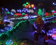 Garden of Morning Calm: Lighting Festival 