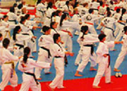 World Taekwondo Culture Expo 