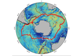 Researchers discover hydrothermal vent, new species in Antarctic