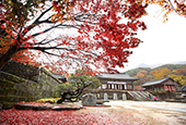 Forest temples get immersed in autumn