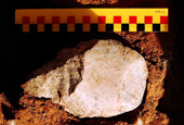 Paleolithic artifacts discovered in Gyeonggi-do