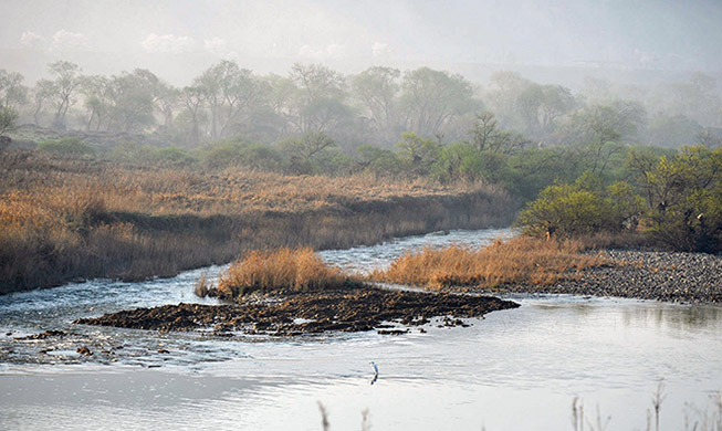 Chimsil wetlands recognized as wetland protection zone