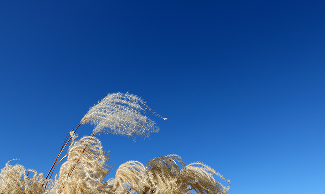 Chilly clear skies usher in winter