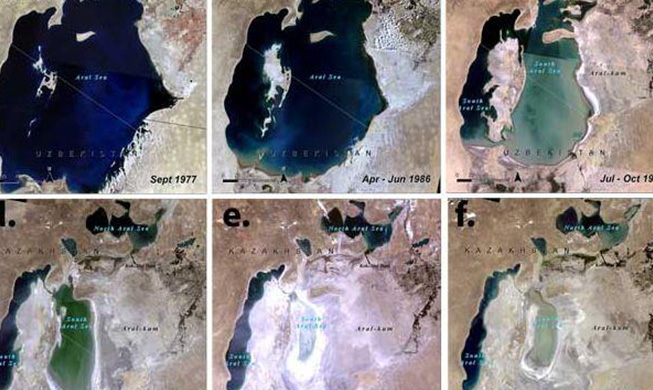 Forest service helps restore Aral Sea