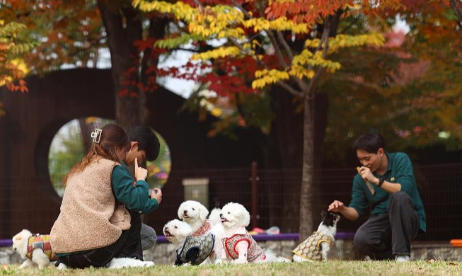 First 'pet park' opened at Gimpo Int'l Airport