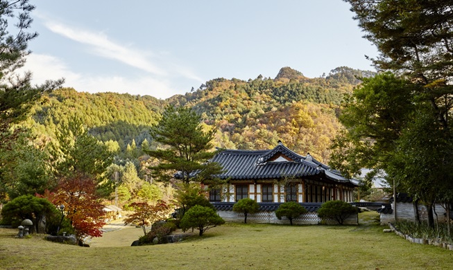 Traditional Hanok tours attract tourists