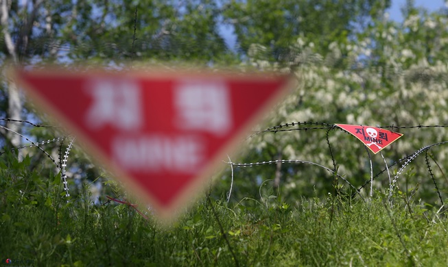 Two Koreas begin clearing mines along DMZ