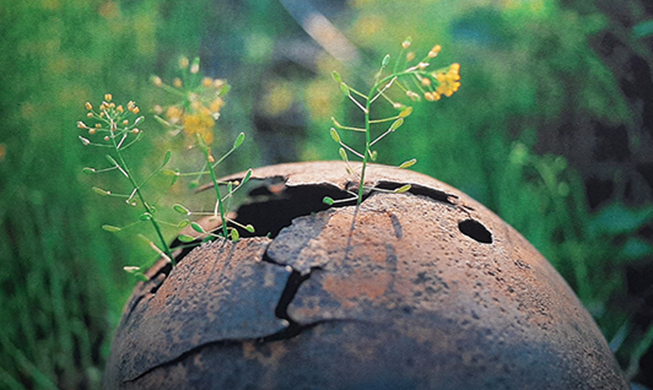 Korean photographer holds DMZ-themed exhibition in Jakarta