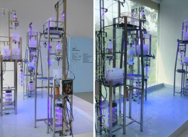 Water-themed works of 3 Korean artists displayed at KCC in India