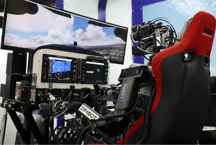 Robotic pilot