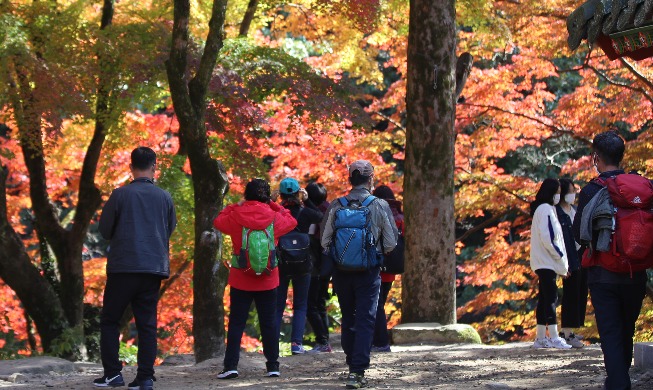 🎧 Phased return to daily life starts, more people per gathering allowed