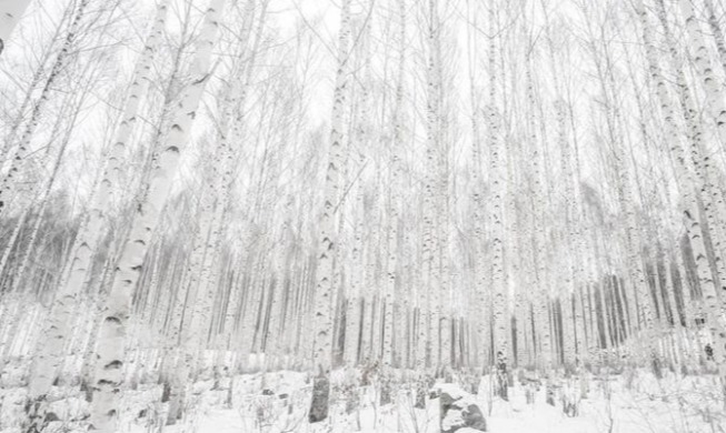 5 places in Korea for enjoying winter