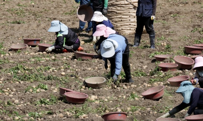 Addition of nearly 17K foreign seasonal workers set for year's 2H