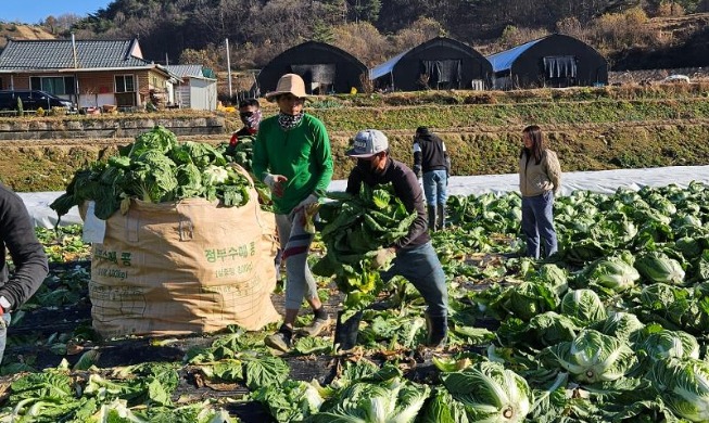 Non-professional foreign worker quota for 2026 set at 191K