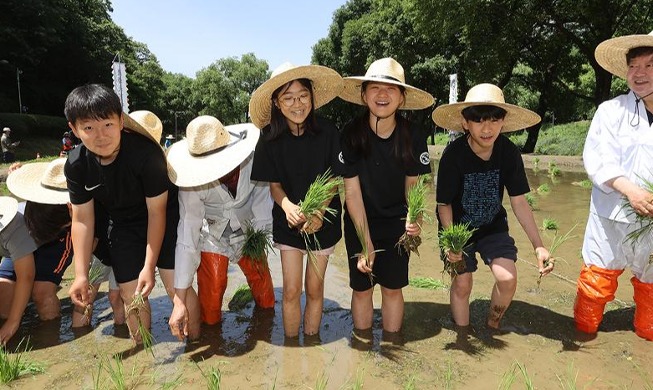 Children sow rice at traditional planting event