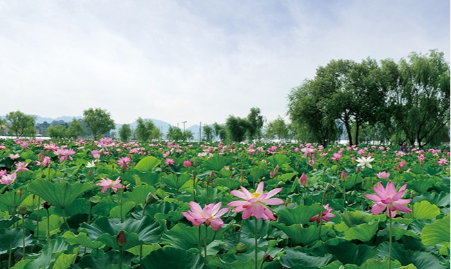 [Monthly KOREA] Land Welcoming the Morning