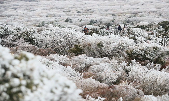 [Korea in photos] Hallasan Mountain sees year's 1st snow