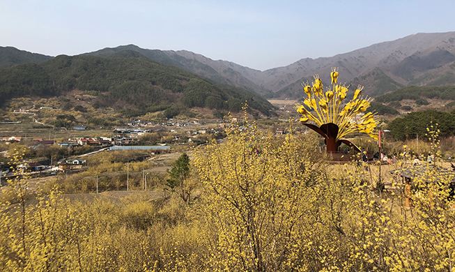 [Monthly KOREA] Plums & Fruit Flowers