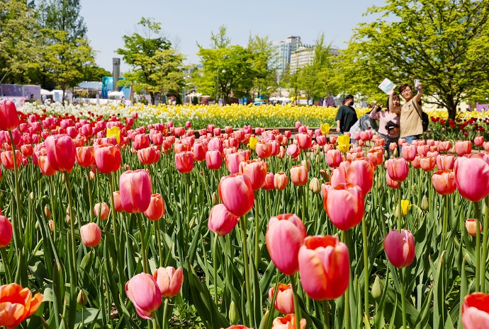 Flowers at every glance, spring in every step