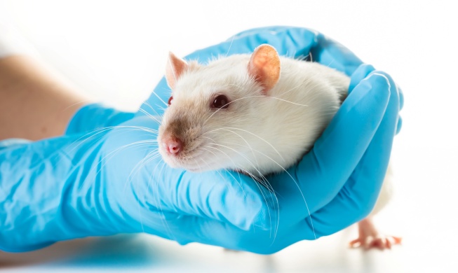 Advanced drug testing methods to use no animals