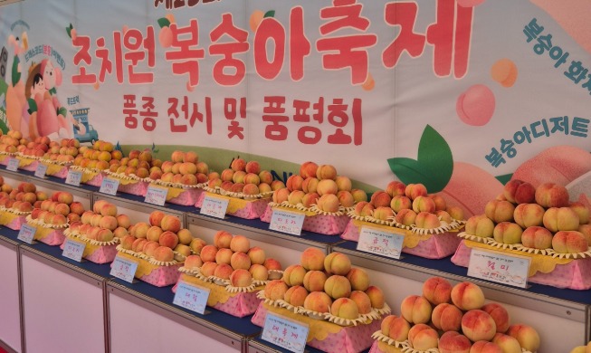 Jochiwon Peach Festival
