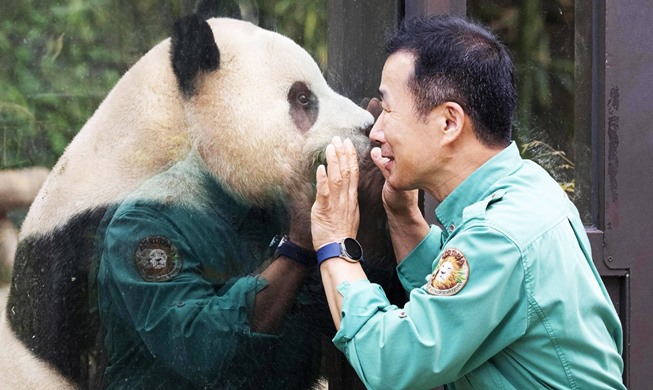 China warmly welcomes first Korea-born giant panda Fu Bao