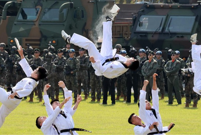Taekwondo on Armed Forces Day