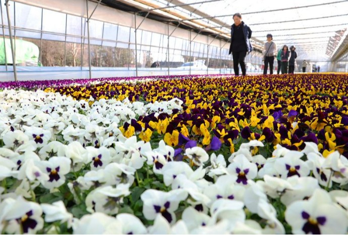 Traditional warming period ahead of spring